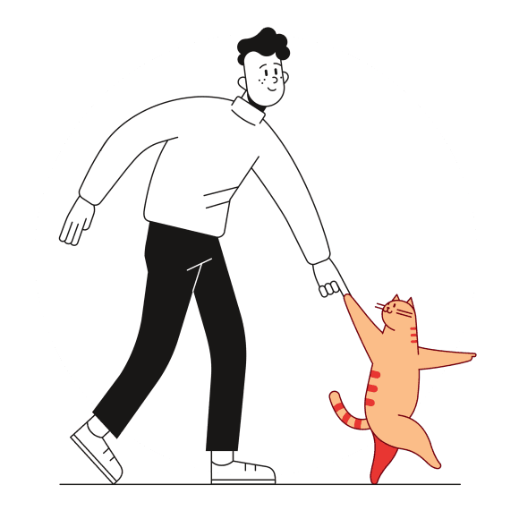 Кот ведет человека за руку.